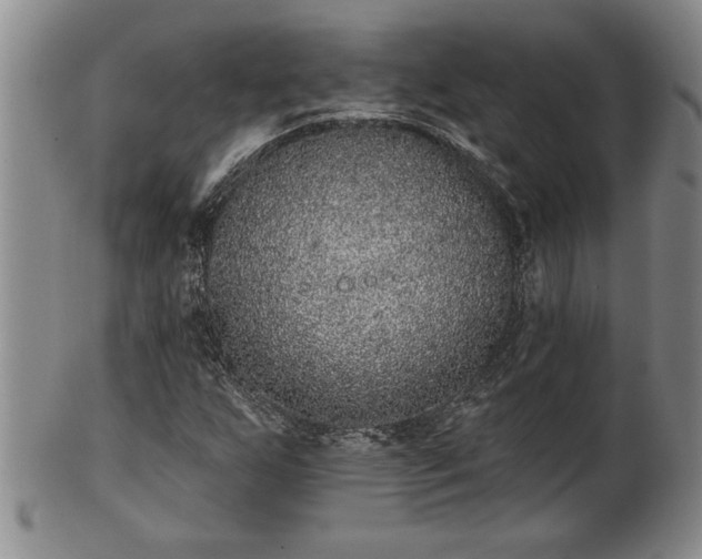 X0000102361255200808081122