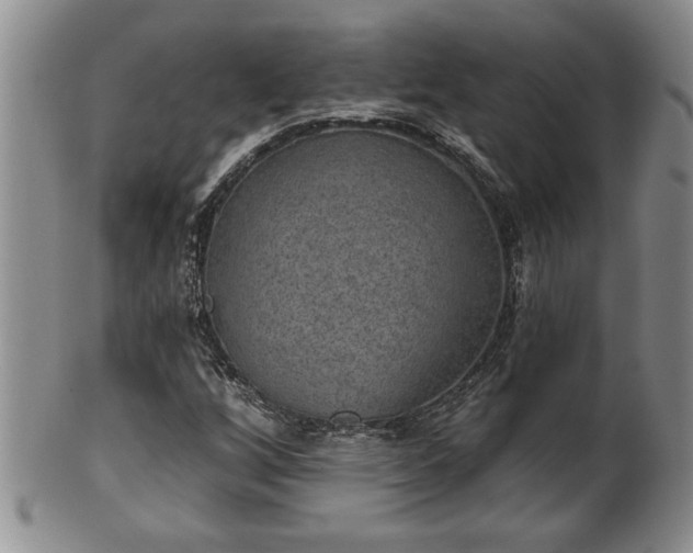 X0000102361256200808081122