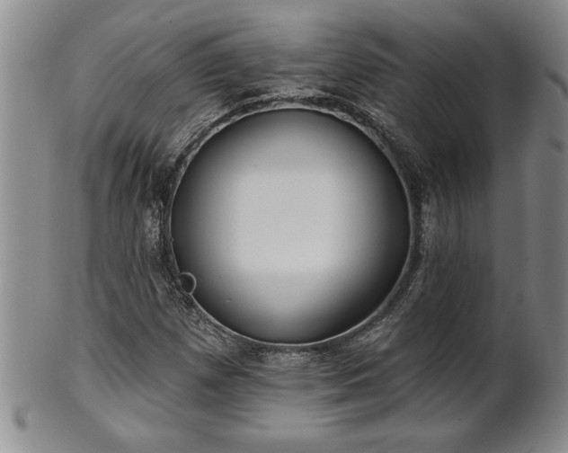 X0000102361257200808081122