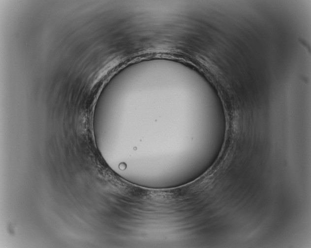 X0000102361258200808081122