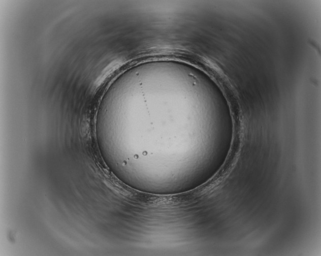 X0000102361259200808081122