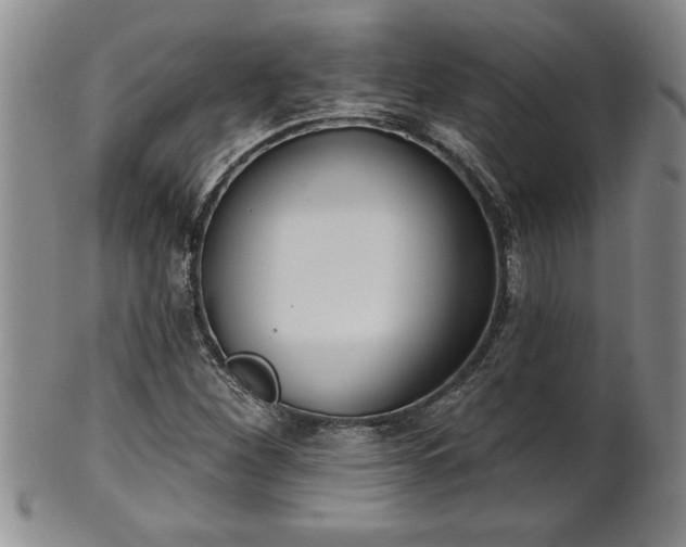 X0000102361260200808081122