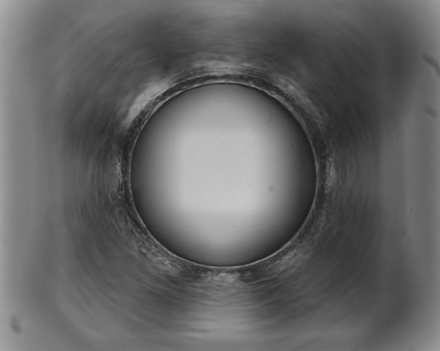 X0000102361261200808081122