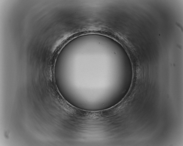 X0000102361262200808081122