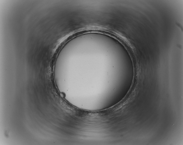 X0000102361264200808081122