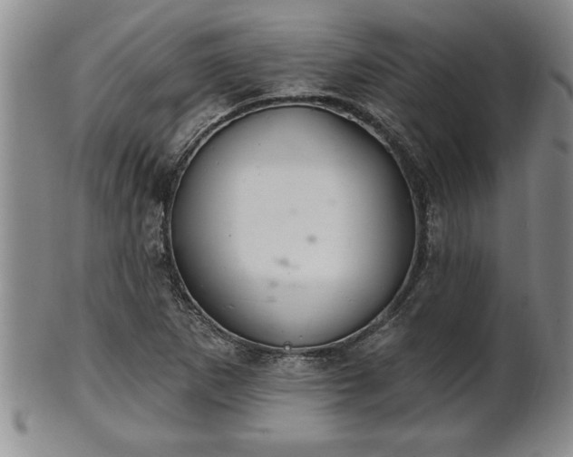 X0000102361265200808081122