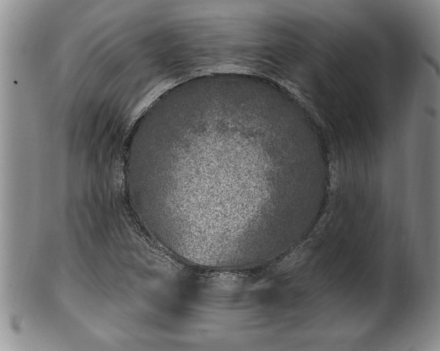X0000102361266200808081122