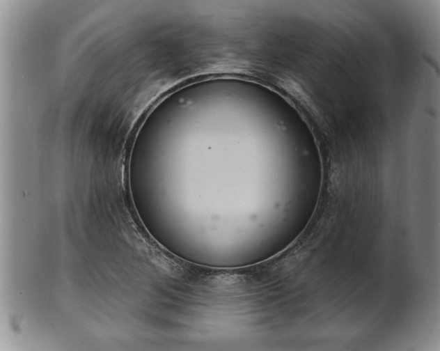 X0000102361268200808081122