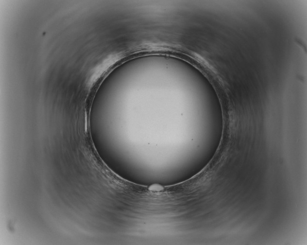 X0000102361269200808081122