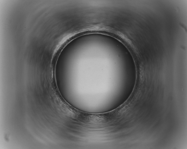 X0000102361270200808081122