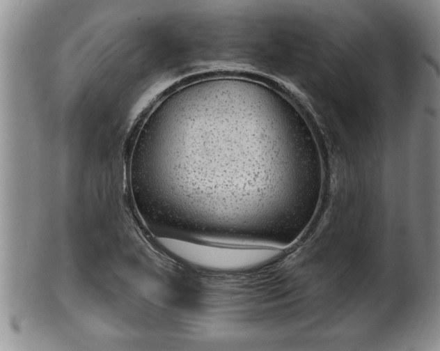 X0000102361271200808081122