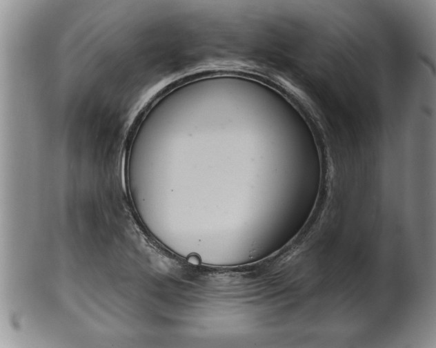 X0000102361272200808081122