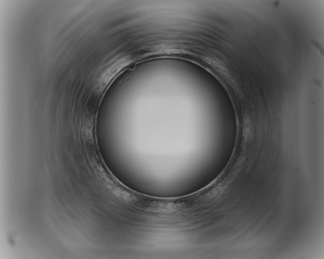 X0000102361273200808081122