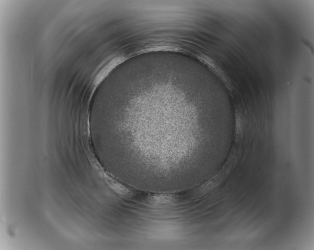 X0000102361274200808081122