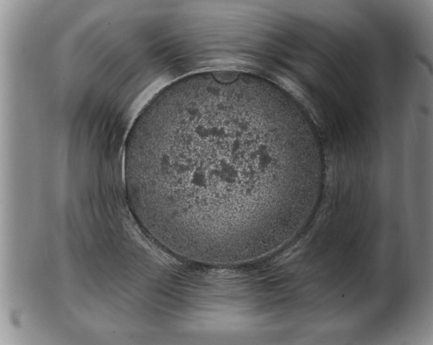 X0000102361275200808081122