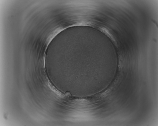 X0000102361276200808081122