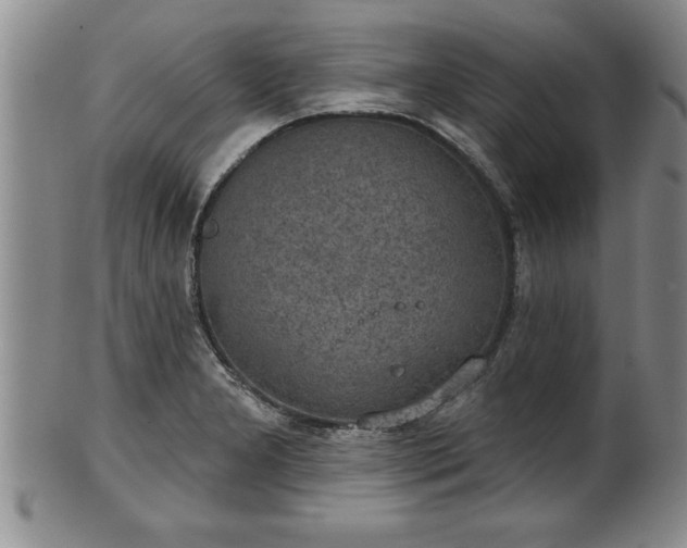 X0000102361277200808081122
