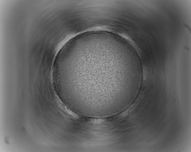 X0000102361278200808081122