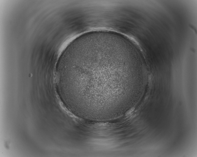 X0000102361279200808081122