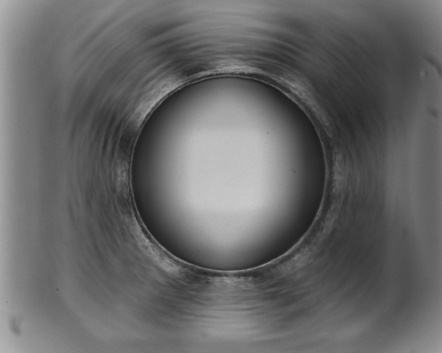 X0000102361281200808081122