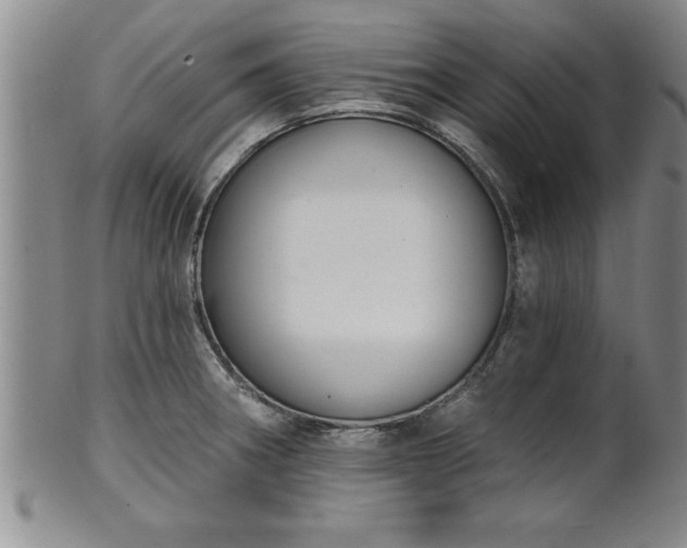 X0000102361282200808081122