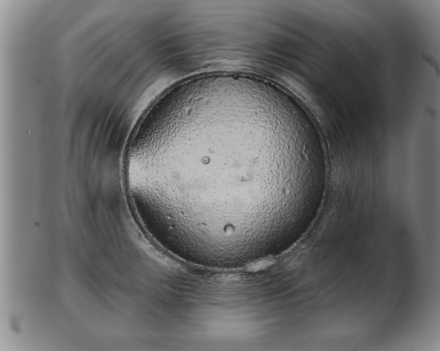 X0000102361283200808081122