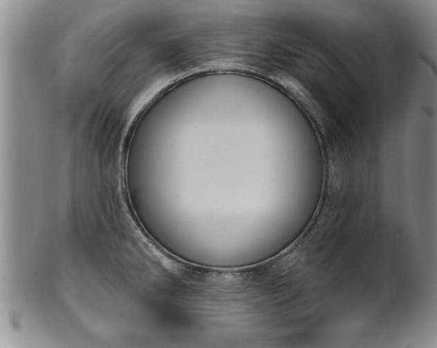 X0000102361286200808081122