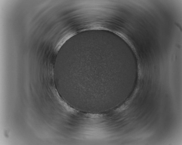 X0000102361289200808081122