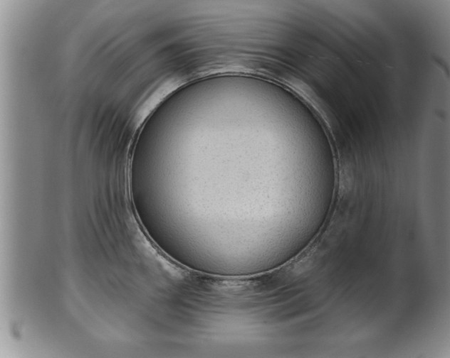 X0000102361290200808081122