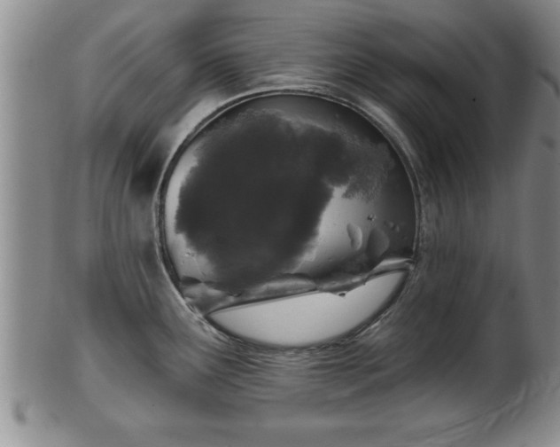 X0000102361291200808081122