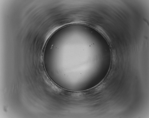 X0000102361292200808081122