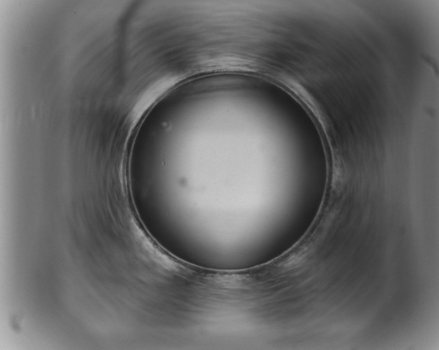 X0000102361293200808081122