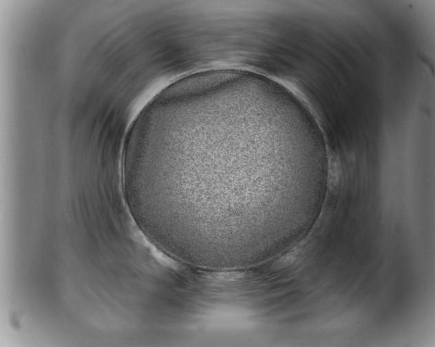 X0000102361294200808081122