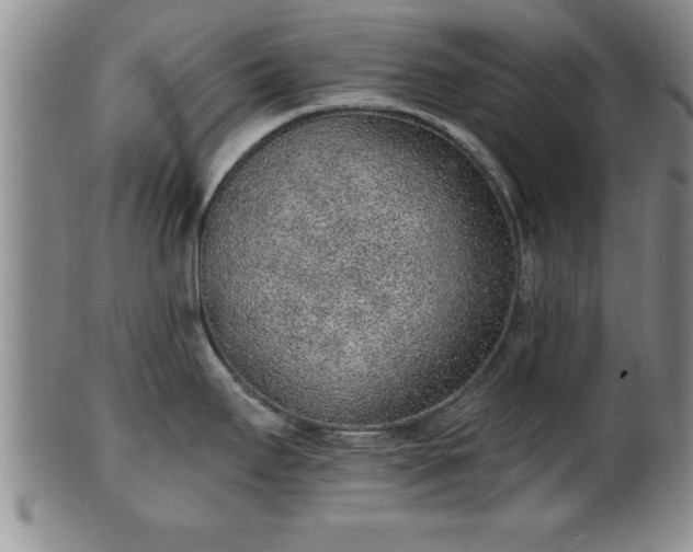 X0000102361295200808081122
