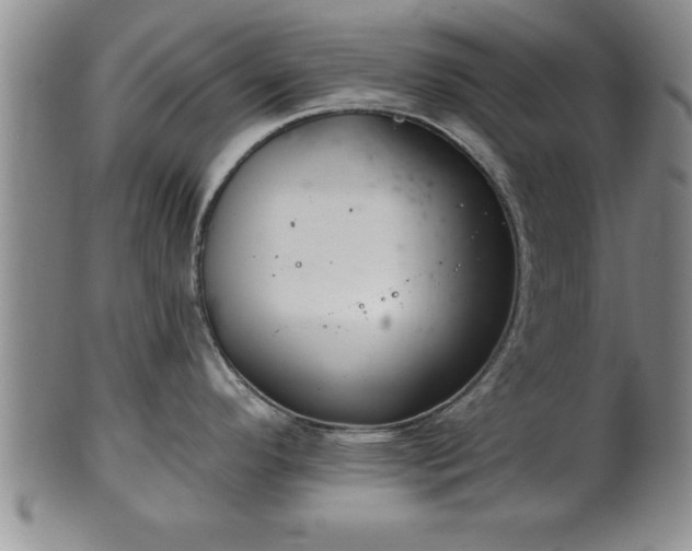 X0000102361296200808081122