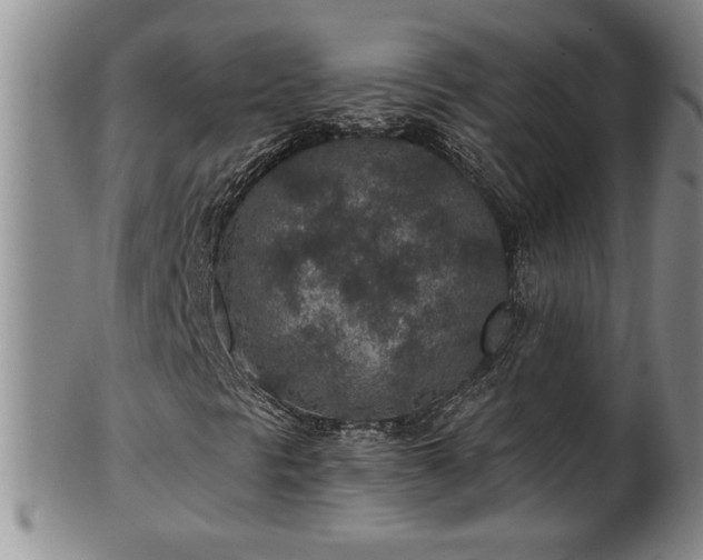 X0000102361297200808081121