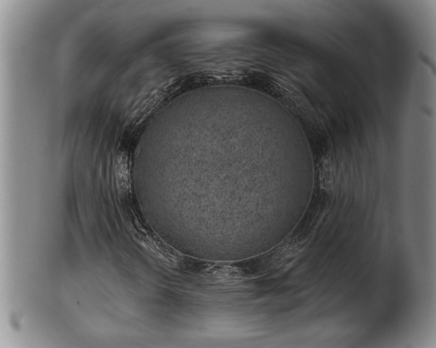 X0000102361298200808081121