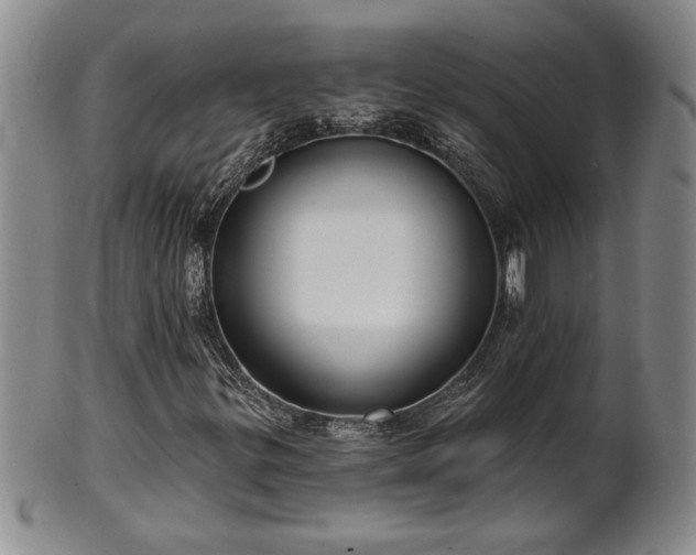 X0000102361299200808081121