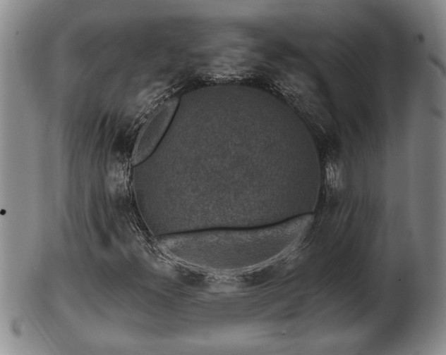 X0000102361300200808081121