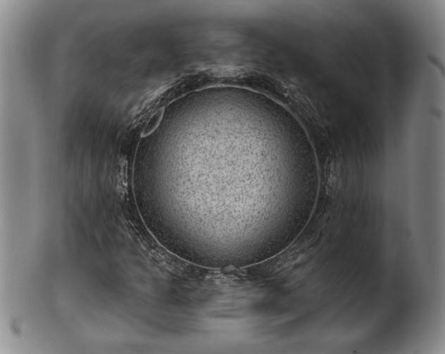 X0000102361301200808081121