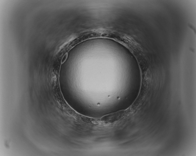X0000102361302200808081121