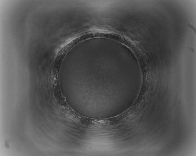 X0000102361303200808081121