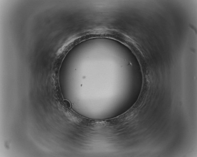 X0000102361304200808081121