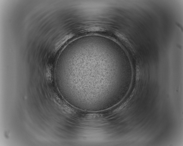 X0000102361305200808081121