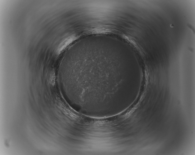 X0000102361306200808081121