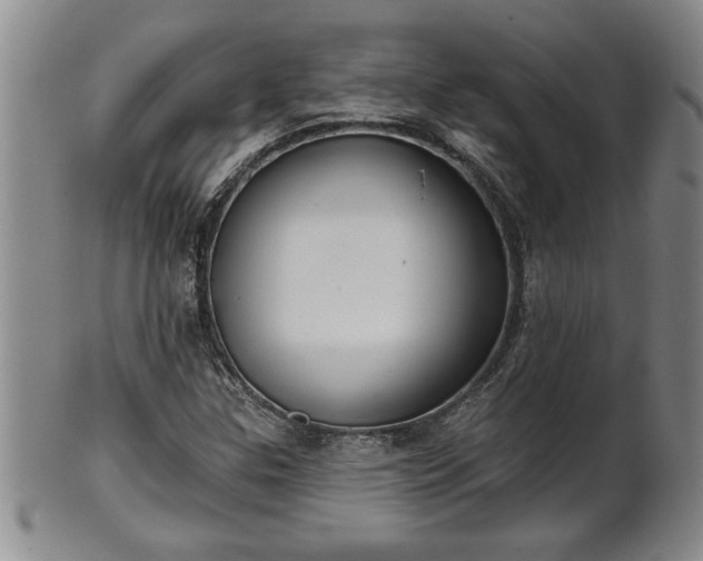 X0000102361307200808081121
