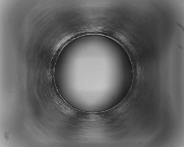 X0000102361308200808081121