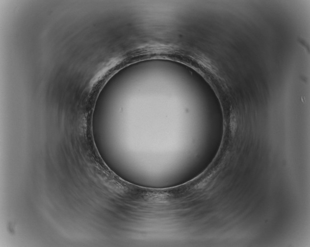 X0000102361309200808081121