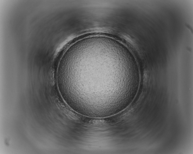 X0000102361310200808081121