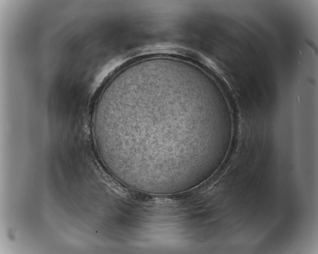 X0000102361312200808081121